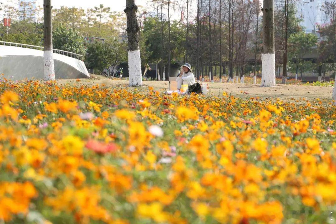 广州南沙春日美景，斑斓的季节里，每一种颜色都提示着春来了！ 