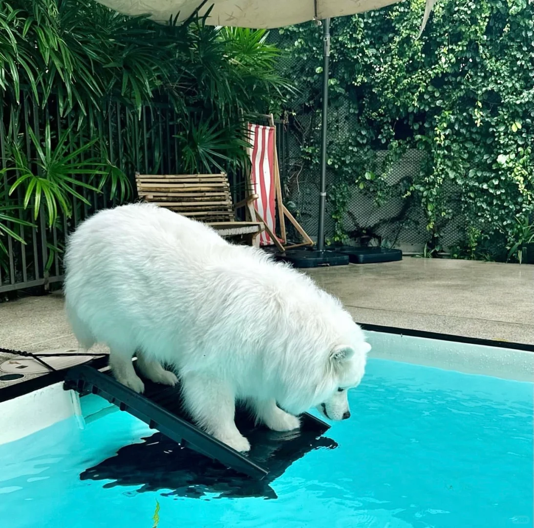 勿扰，马尔代夫度假中