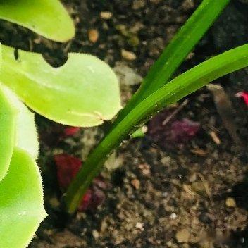 总有人会捧着车厘子花束向你走来，世间还没给你的温柔都在路上，你要等，为你而来现在