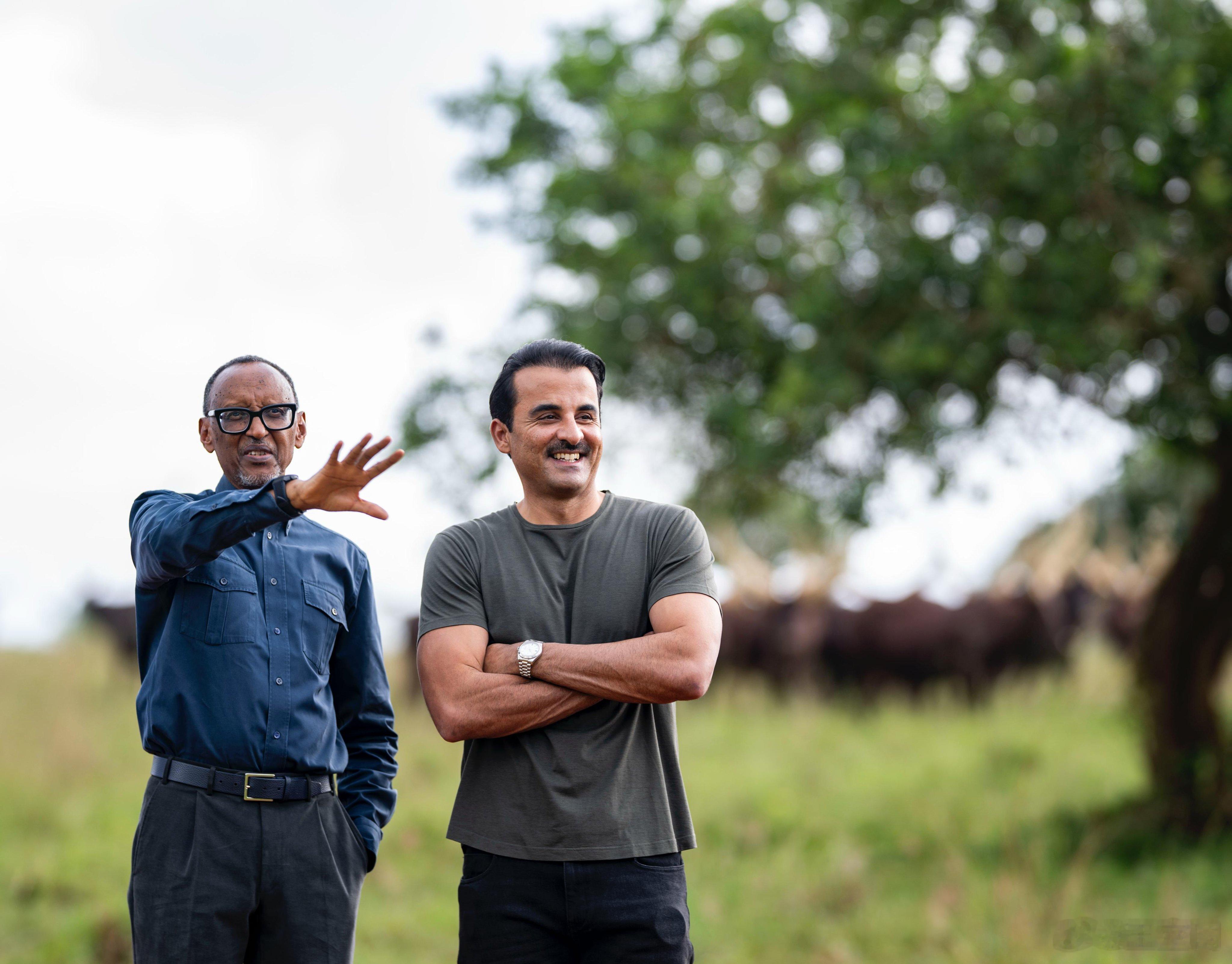 🇶🇦🇷🇼11月19日-11月20日，卡塔尔埃米尔塔米姆官方访问卢旺达，卢