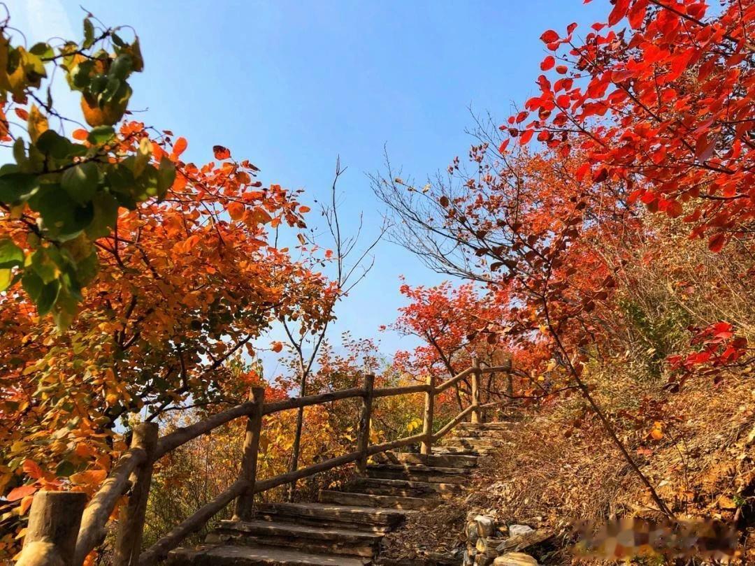 北京周边绝美的赏秋胜地——坡峰岭！
坡峰岭位于北京市房山区，距离市区约 60 公