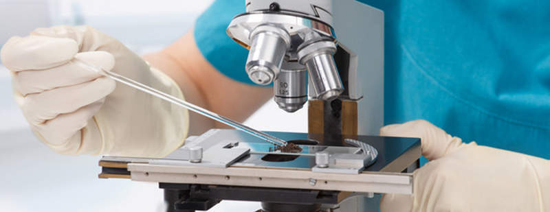 【世界首个新冠人体挑战试验有新进展】6月9日，《柳叶刀·微生物》（The Lan