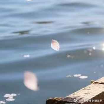 一直想拍我家猫在桥上慢悠悠踱步的画面，奈何小家伙根本不配合😮💨随手试了下千问