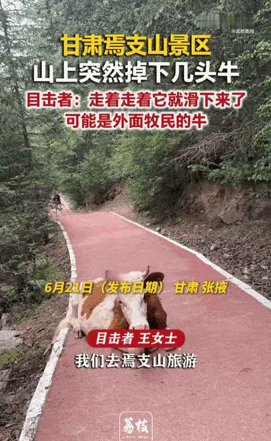 意外还是发生了！甘肃张掖焉支山景区，多名游客正漫步山间赏景，头顶陡坡突然传来巨大