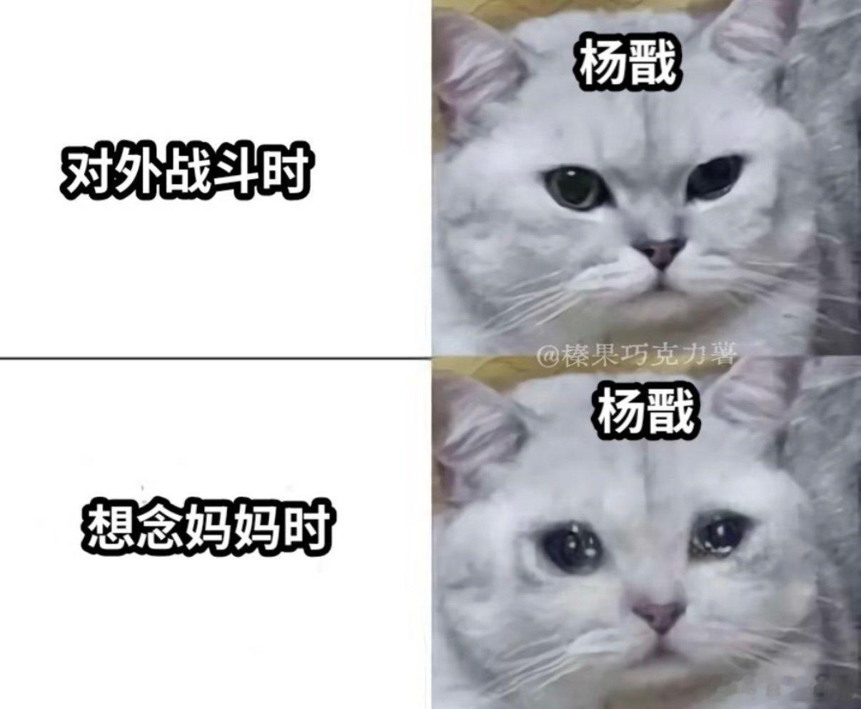 电影八仙中两句谢谢里藏着彩蛋 人民日报远观栏目专访八仙导演 吕洞宾后背的字迹、影