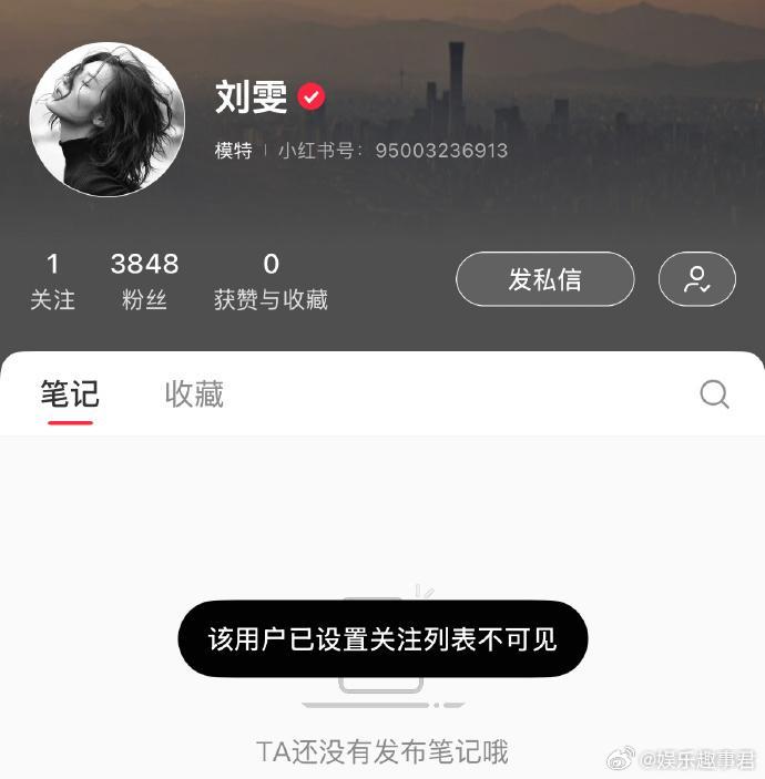 虽然刘雯隐藏了唯一的关注，但是在井柏然的粉丝列表中可以找到刘雯的账号。两人应该算