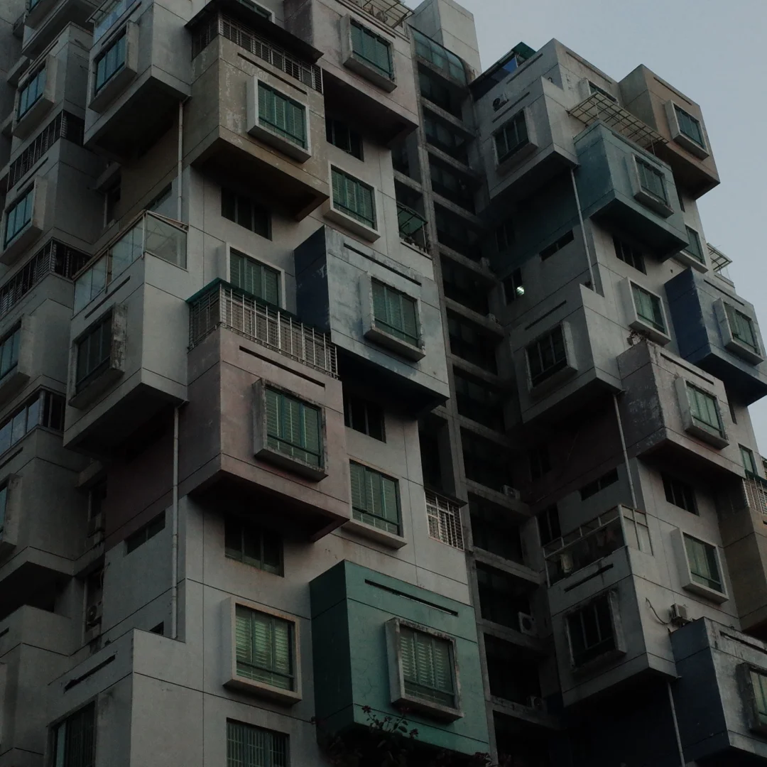 所有的转折隐藏在密集的鸟群中