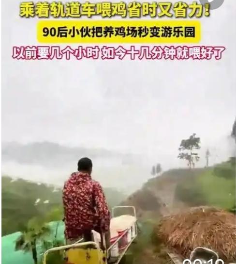 “90后”返乡小伙打造“山间过山车”喂万只鸡！当事人：一趟可运近千斤饲料，省下的