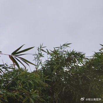 没有谁的生活会一直完美，但无论什么时候都要眼看前方，满怀希望就会所向披靡，你一定