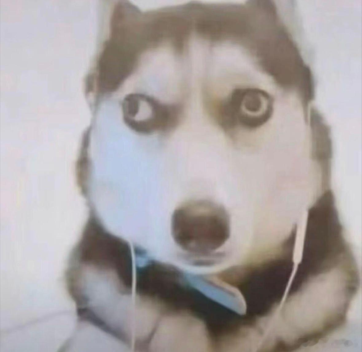 分享图片 