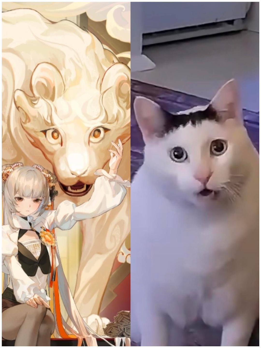 一旦接受就回不去了[二哈]#物华弥新# #夏日畅想季# #我的夏日大赏# ​​​