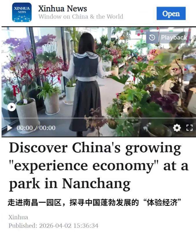 🔥新华社全球直播！南昌九洲公园凭“都市种田”火遍海内外，“中国体验经济新范本”