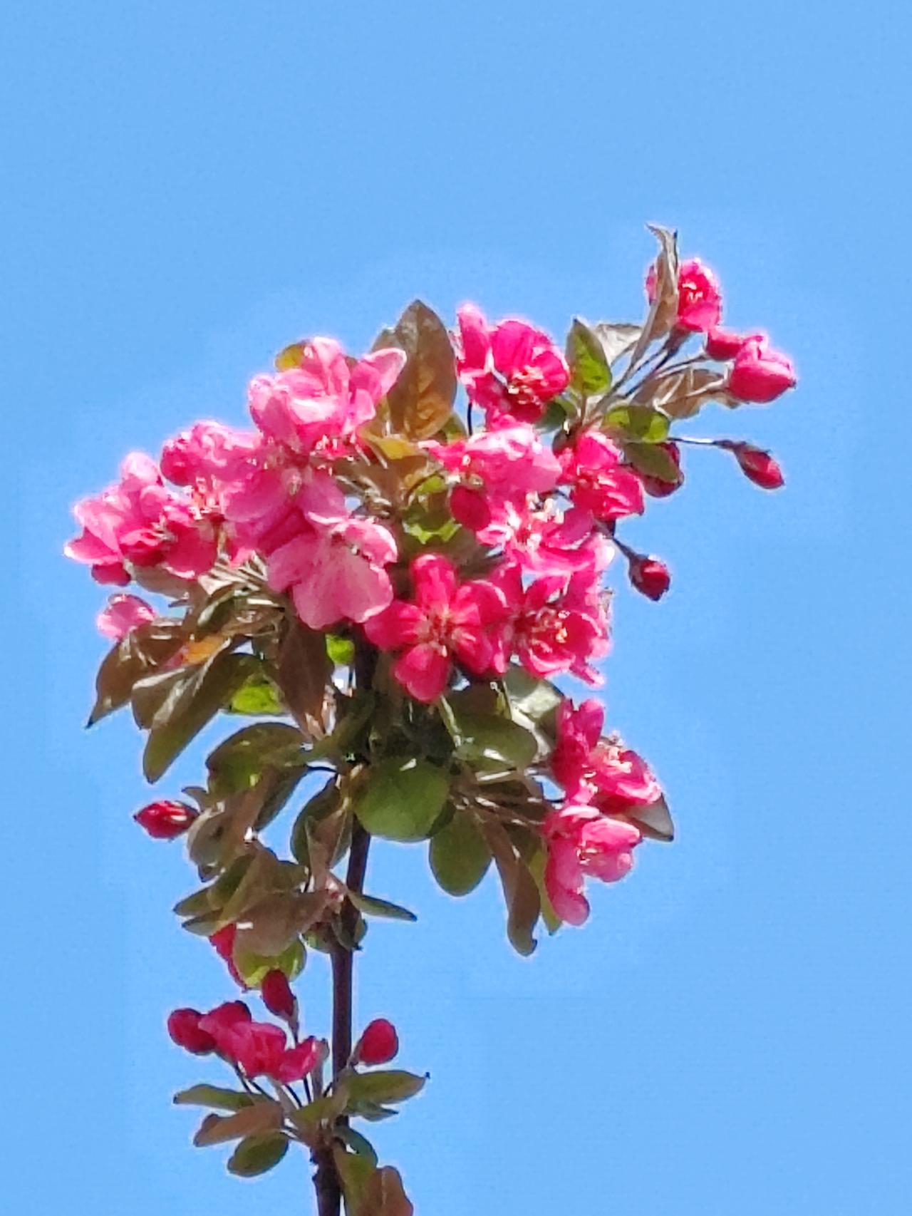 郑丽文访陆随行人员名单公布 郑丽文访陆随行人员名单公布，这事儿可太有看头了！此次