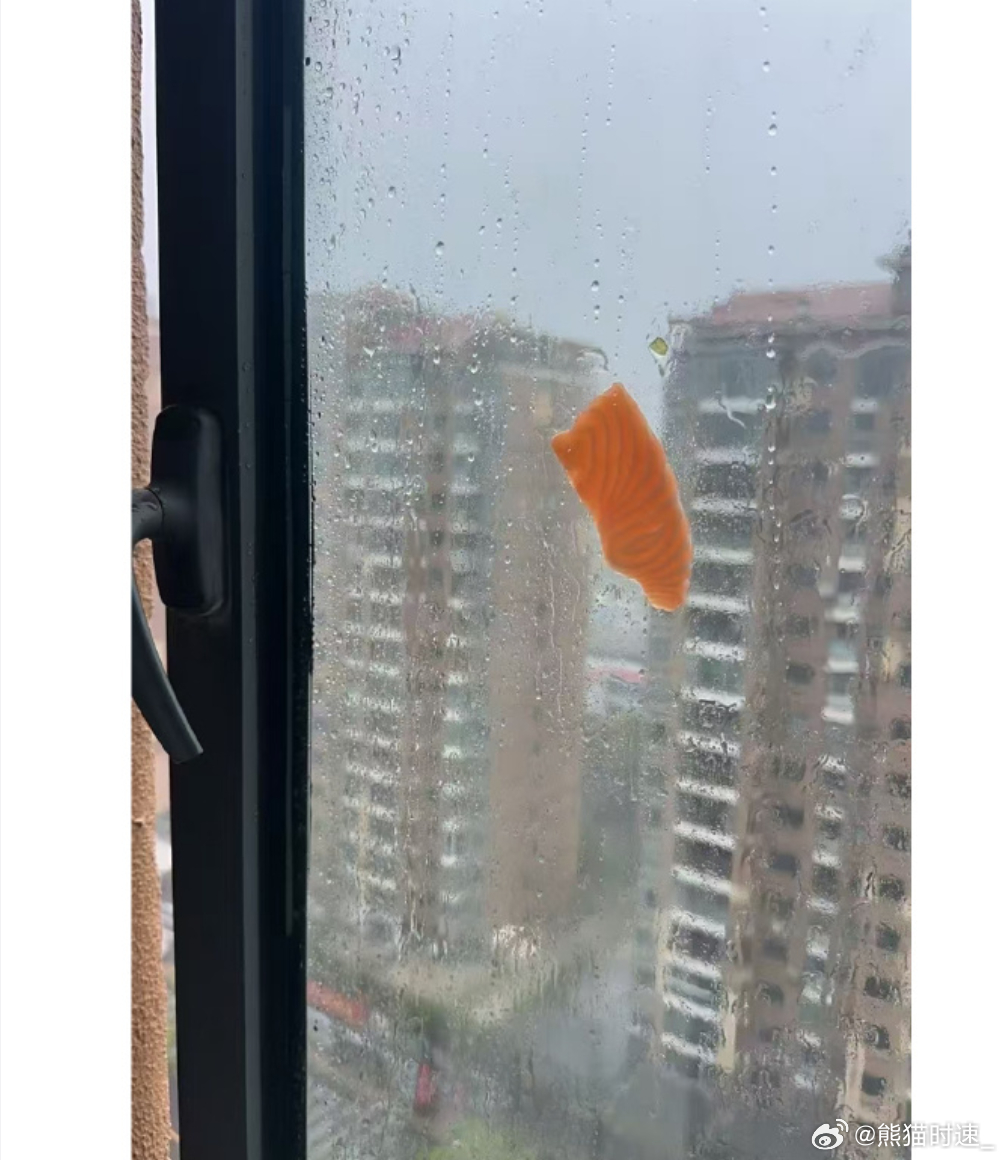 谁说天上不会掉三文鱼？甚至还附带芥末果然大城市才有如此机会白海豚的威力大，希望今