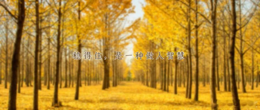 稳得住，是一种做人智慧人生如棋局，真正能走到最后的人，未必是最聪慧或最勇猛的，却