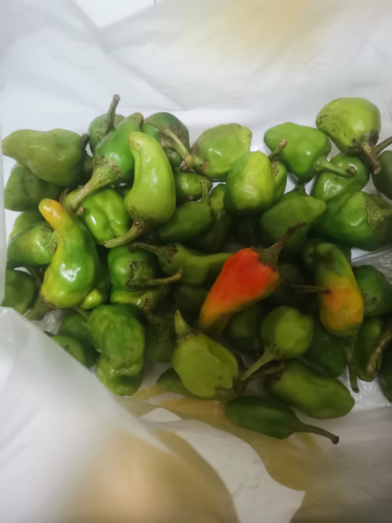 这是从乡下带来的农家辣椒，个头非常小，而且里面都是辣椒籽。
去掉里面满满的籽后，