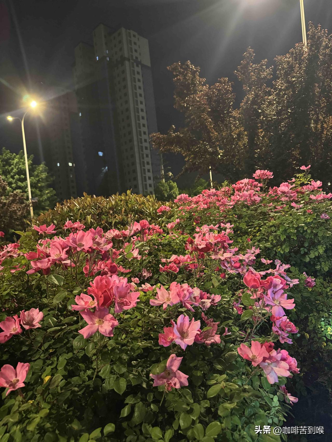 必须要懂的人性铁律:

​1.太正经的人，发不了大财。

2.远离爱喝酒的女人