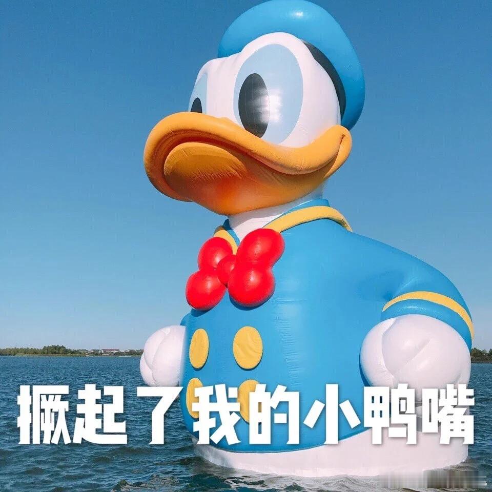 #已读乱回的绝招是鸭言鸭语#哈哈哈哈哈笑晕了，是谁想出来撅起了我的小鸭嘴~太可爱