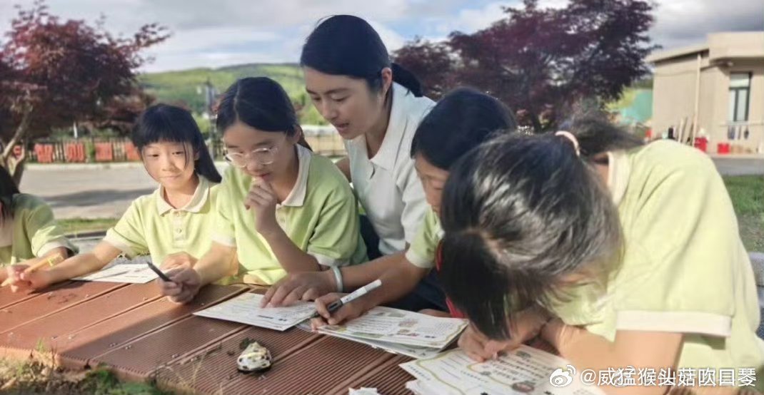 台州这位老师让山区教育长出新模样乡村教师扎根山区讲台，深耕教学、创新育人模式，补
