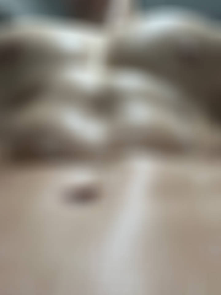 🫧 