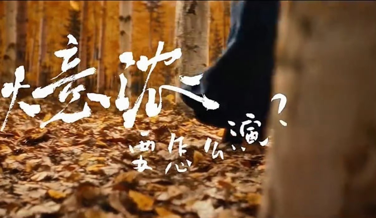 向佐演技的正确打开方式终于get到向佐演技的正确打开方式！不刻意表演，贴合角色本