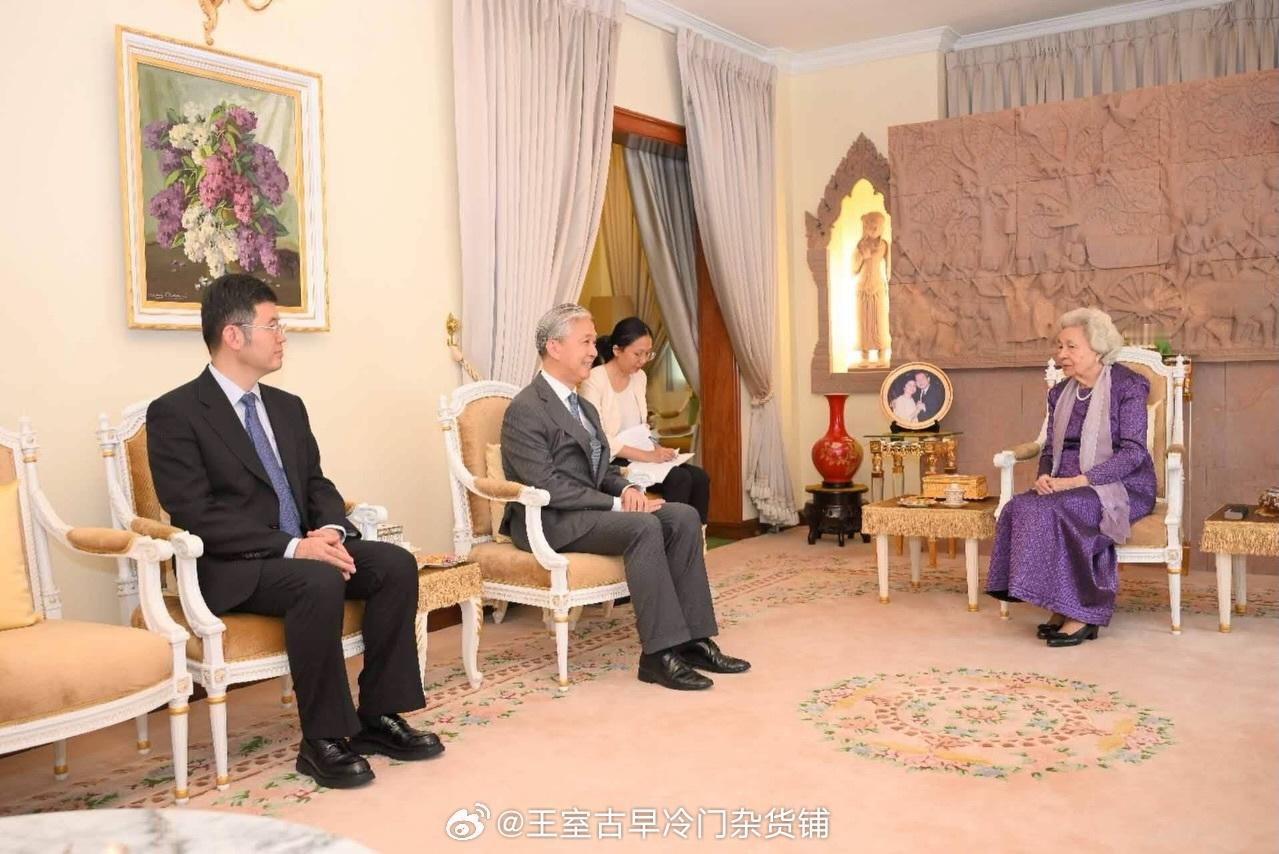 王室王室柬埔寨王室 2026年8月12日，太后阿伦和汪叔会面。 