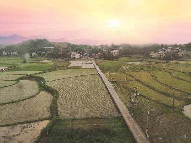 家乡的农田，那可是藏着无尽宝藏的地方。就像2023年5月各地的农田，美得像画一样