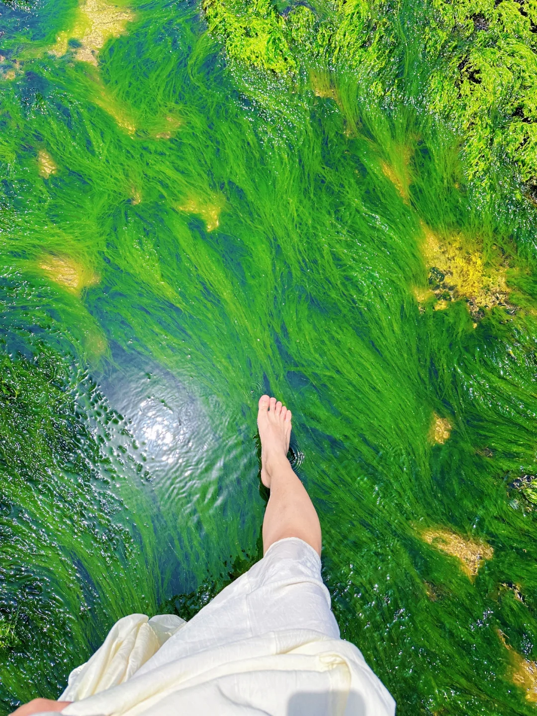 一脚踩进油画里🖼️没想到就在广东惠州🌊