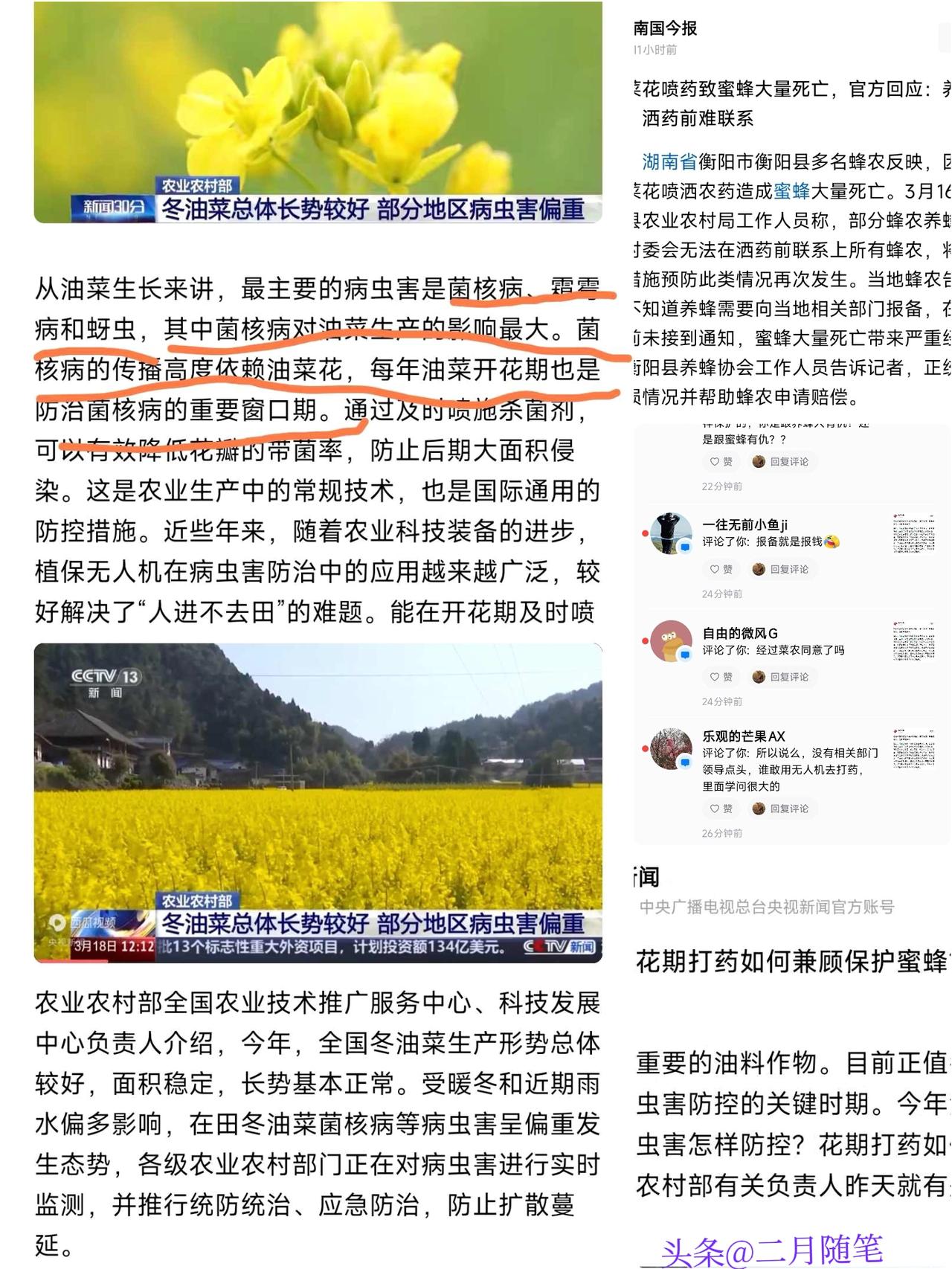 田间悲剧！
油菜花飘香，
蜜蜂却大批中毒，央视揭开背后真相！

事情是这样的——