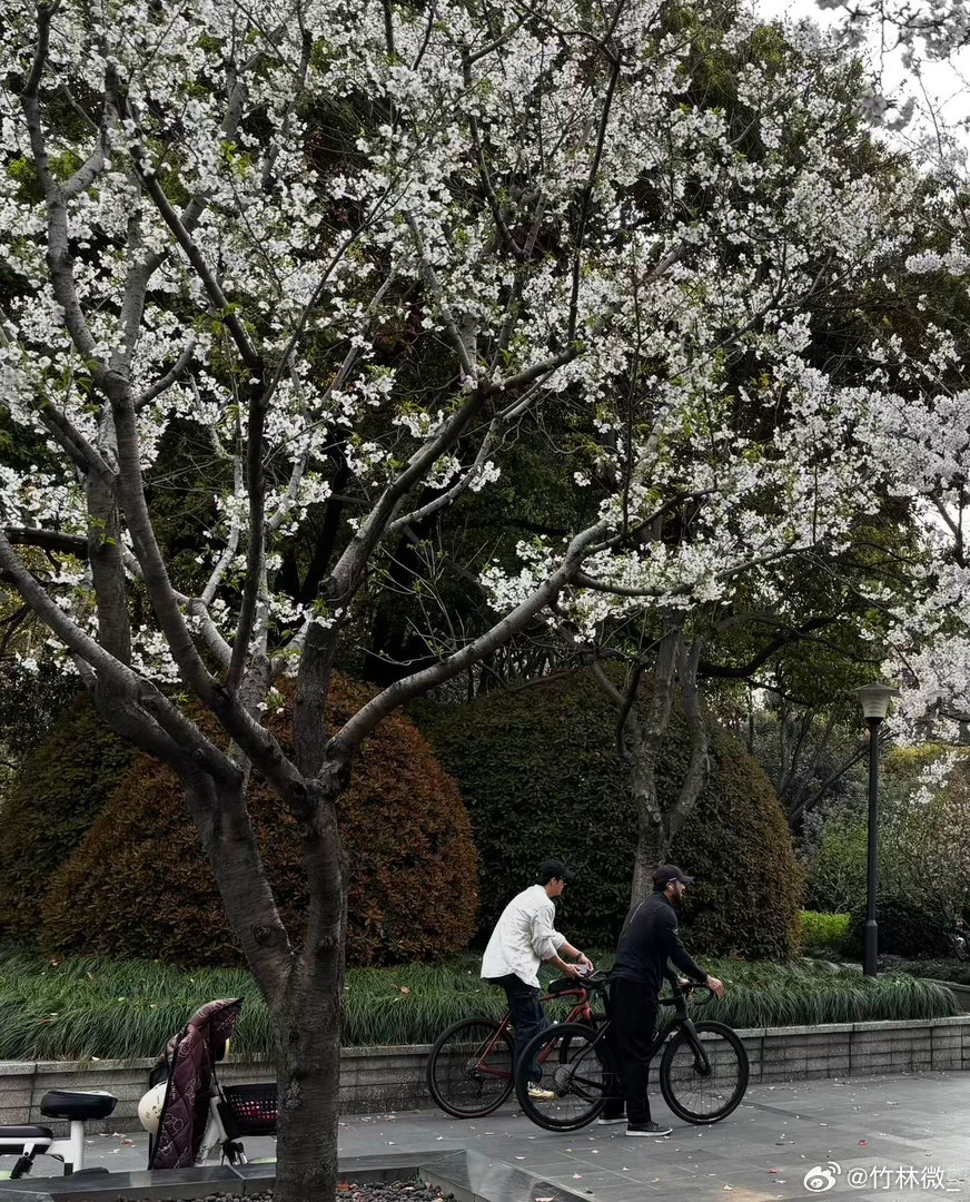 黄景瑜被我偶遇前不许出门了黄景瑜街头骑车又被偶遇了黄景瑜骑车被偶遇，全程笑眯眯打