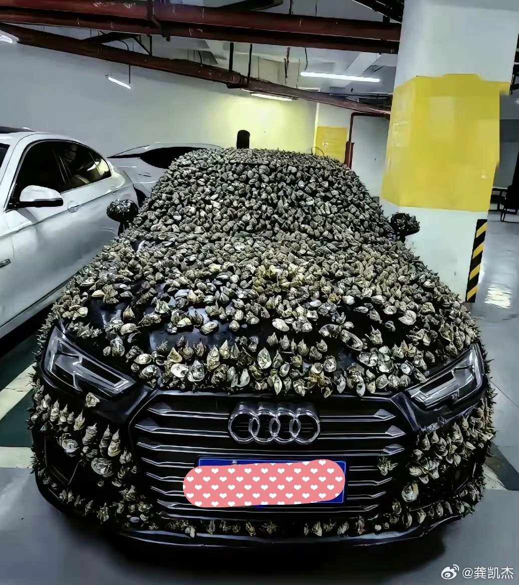 吓一跳，车身被贴满发泡胶，像深海老鳖了。（估计占别人车位不肯移车吧）