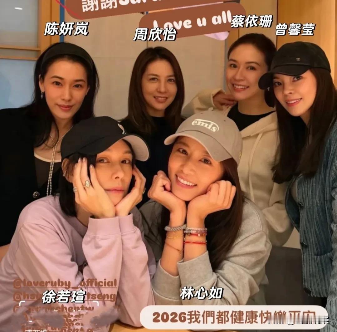 林心如在台湾的朋友圈够强大的啊，都是非富即贵！
她和一帮好闺蜜聚餐，除了徐若瑄，