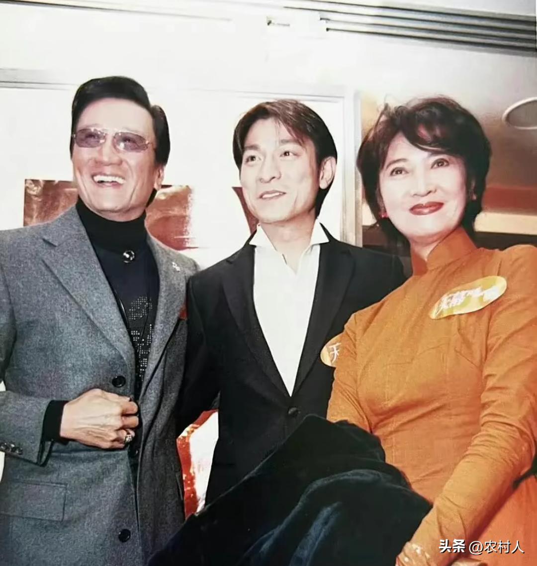 早年刘德华创办天幕电影公司亏损严重，2000年完成资本调整重新启动。邀请众多香港