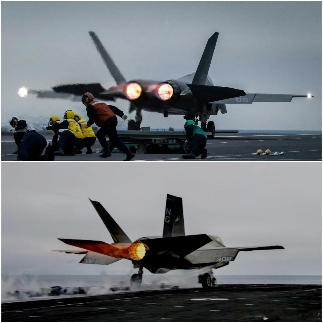 论菊花朵数的重要性！2朵狮子头菊，肯定要比1朵大荷兰菊漂亮中国海军舰载机烽火问鼎