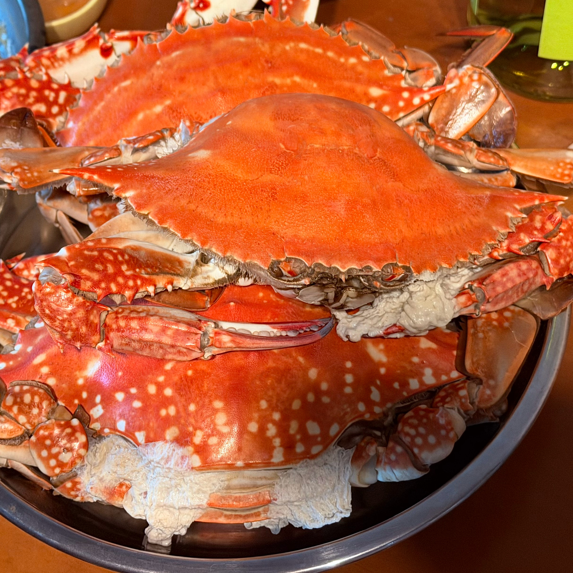 照里卡呐 我梯啊……🍻 龙港