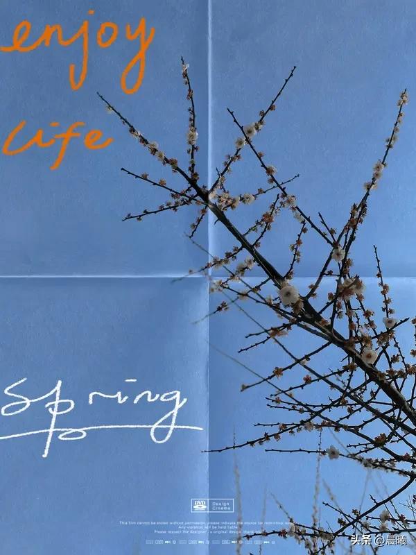 春日生活打卡季 春日生活打卡季，简直是开启美好一年的钥匙！春天就是有那种神奇的魔