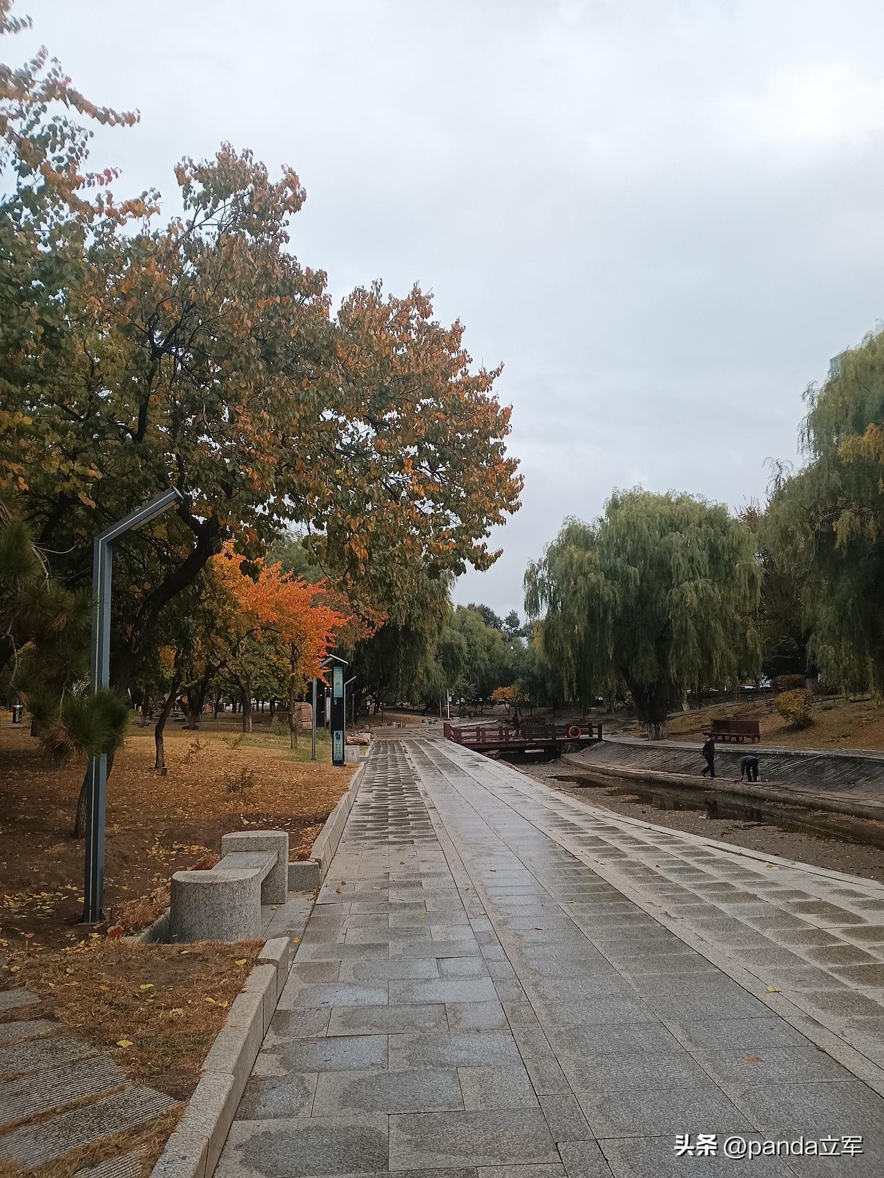 秋雨
昨天晚上睡的比较早，九点入睡，今天早上醒的格外早，四点半就睁开眼，听着窗外