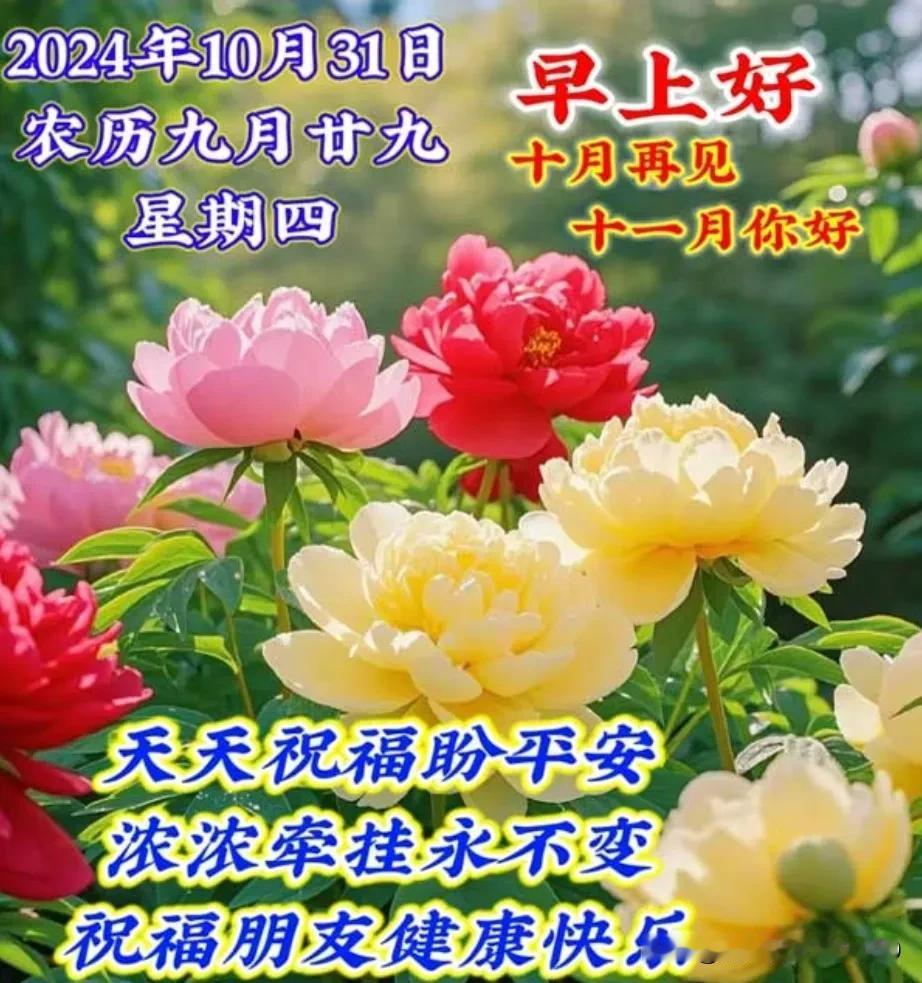 金秋时节，秋高气爽；
晨露微凉，秋意正浓；
岁月静好，幸福相随；
一份情谊，不在
