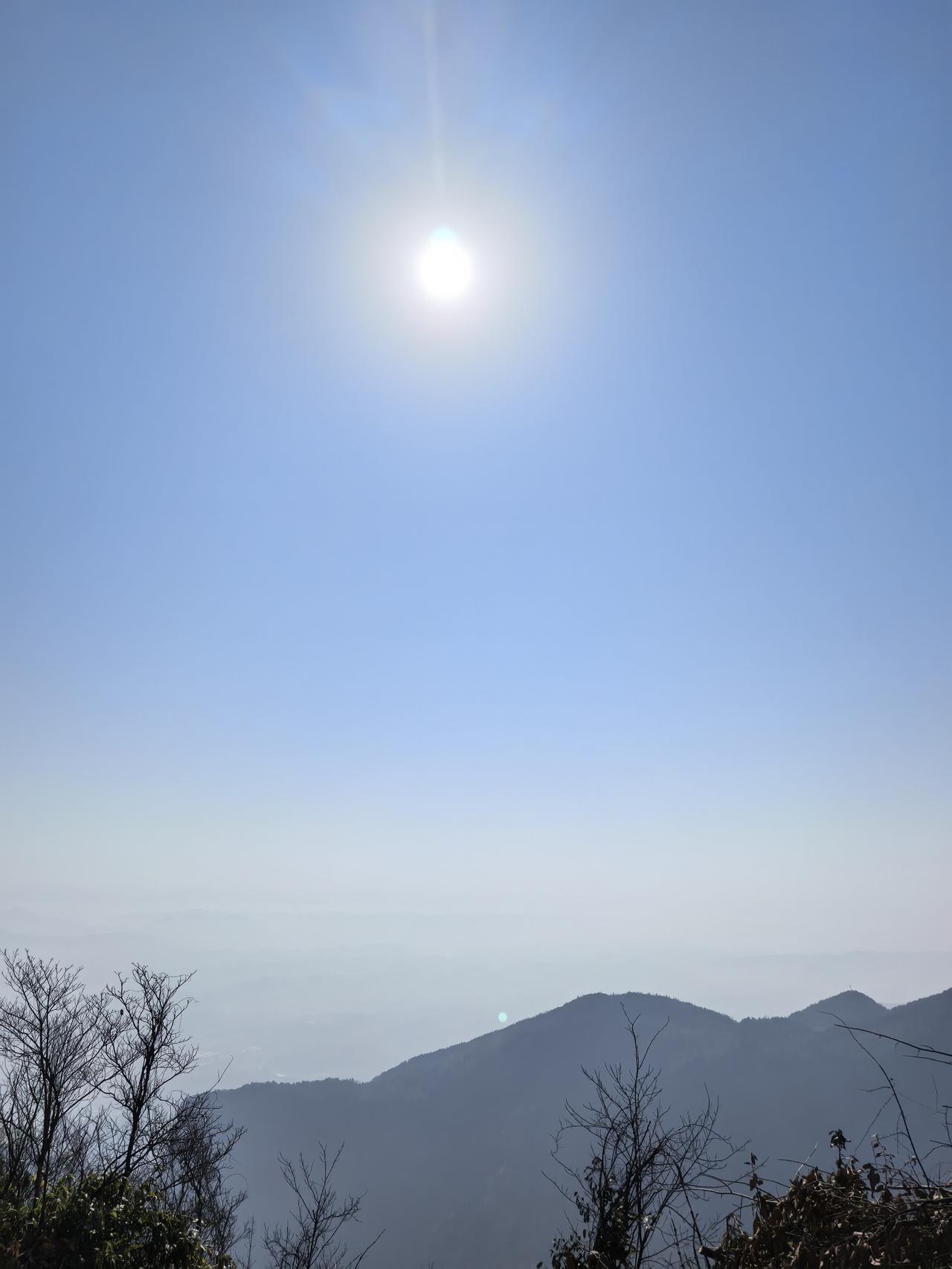 重庆WTT这是怎么了呀[大笑][大笑][大笑][大笑]大头为了陪莎莎，也是拼了，