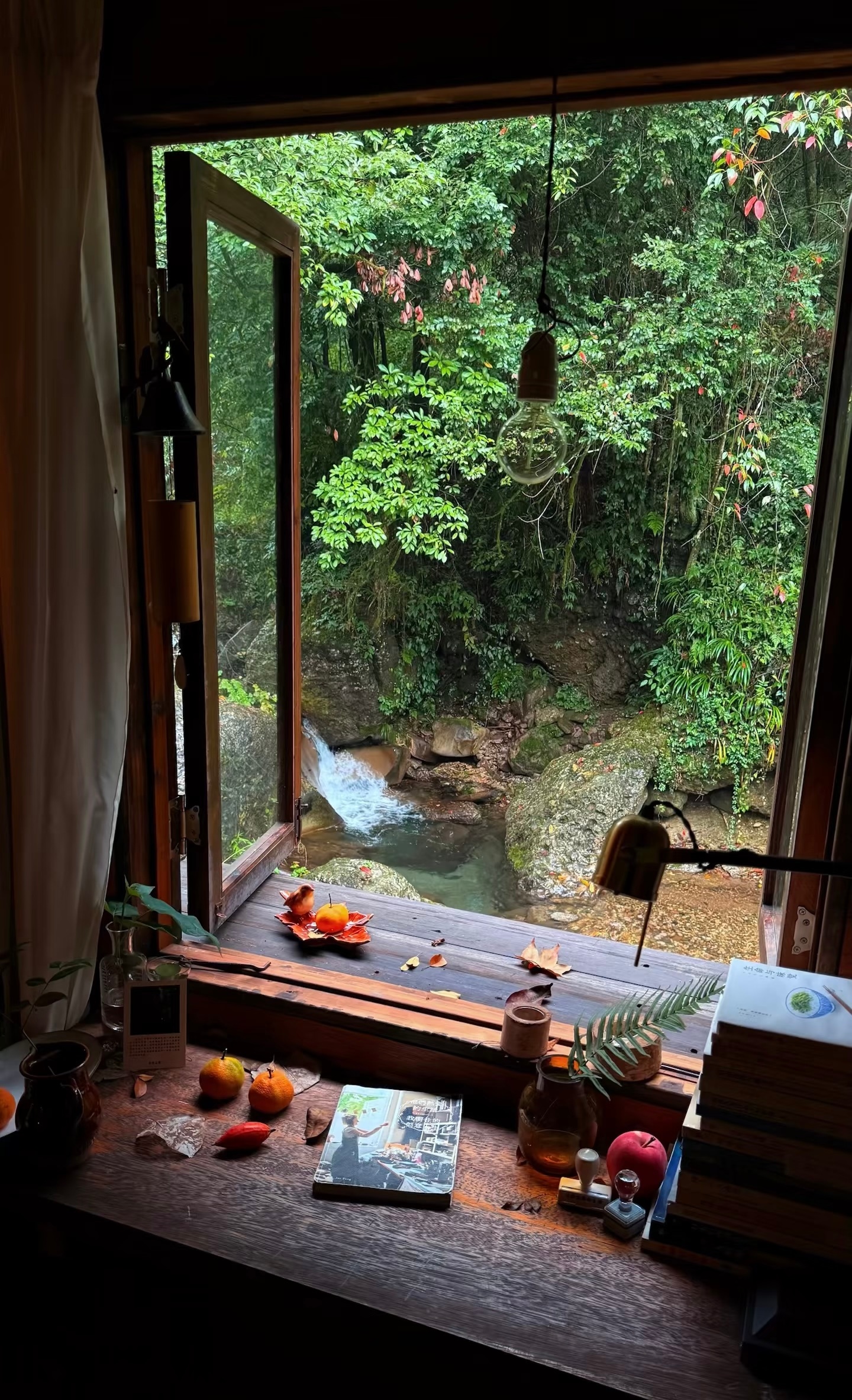 荷光浮水浪落，落日照衣裳。昨夜三更雨，又得浮生一日凉飞鸟向远山，蝉响绕竹墙。世间