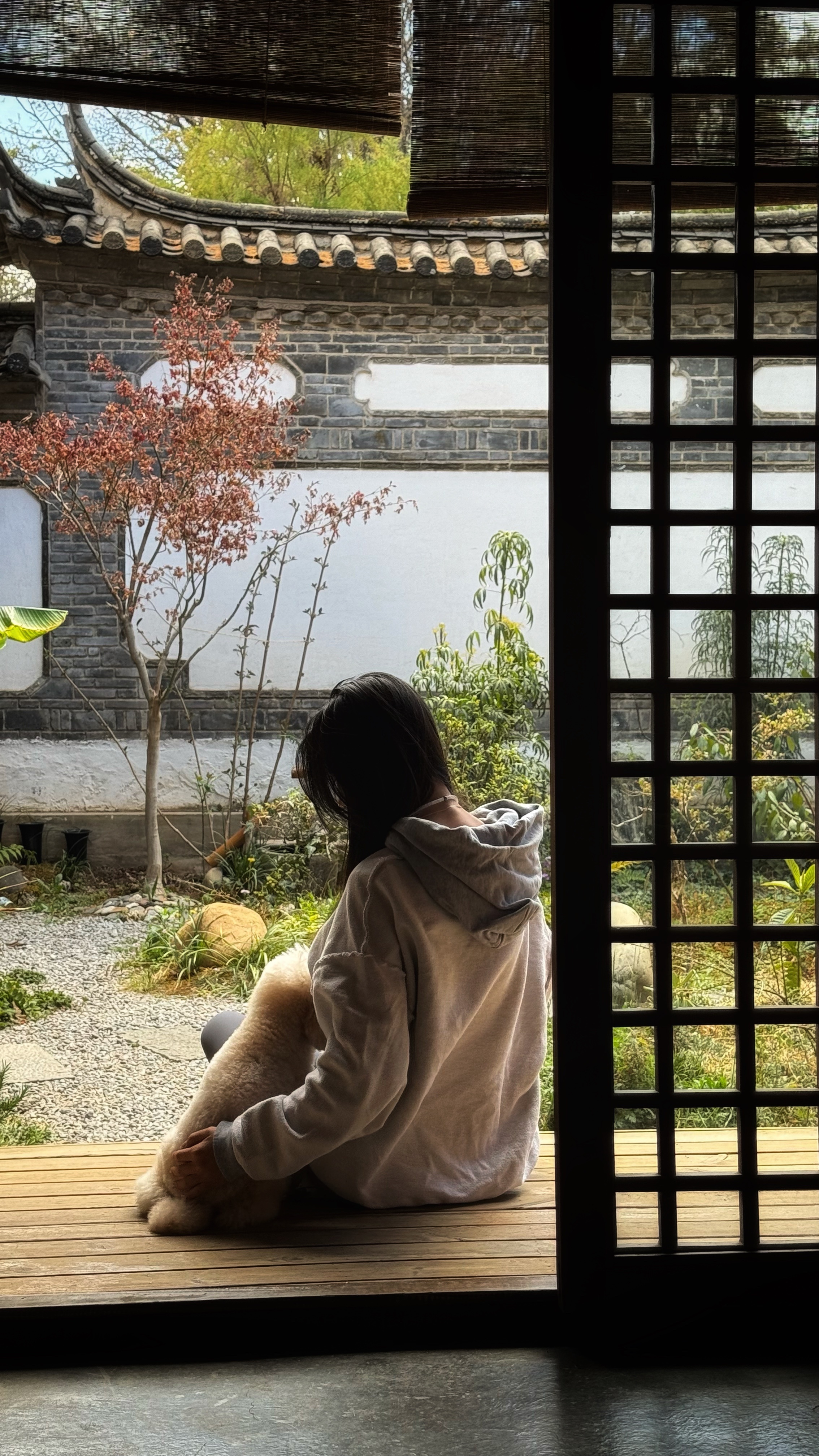 #丽江[超话]# 来云南如何不做攻略也能玩好？今天给你分享一个七天六晚大理丽江泸