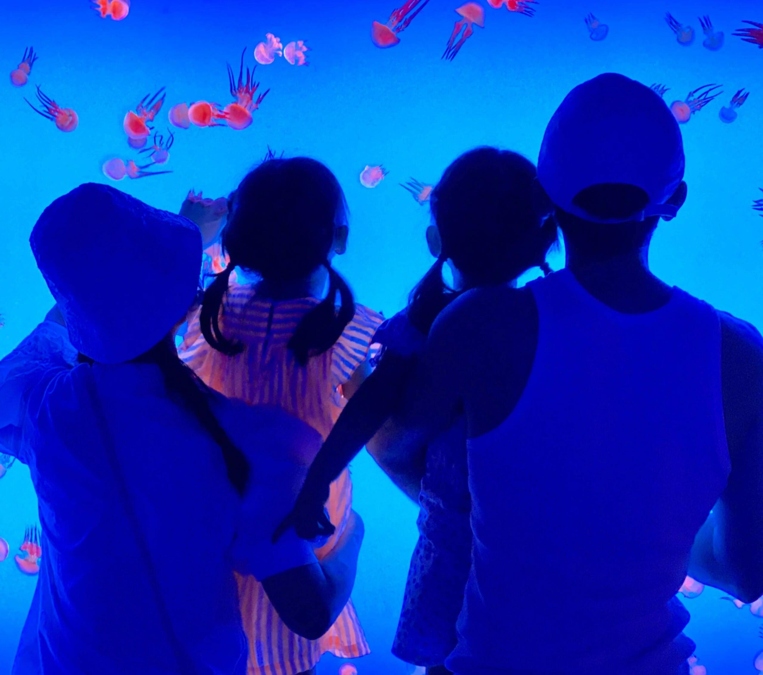 张杰说谢娜是好妈妈好妻子时间过的真快，不知不觉的跳跳俏俏都八岁了祝跳跳俏俏一生都