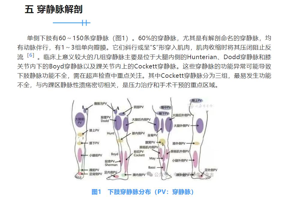 穿静脉超声。