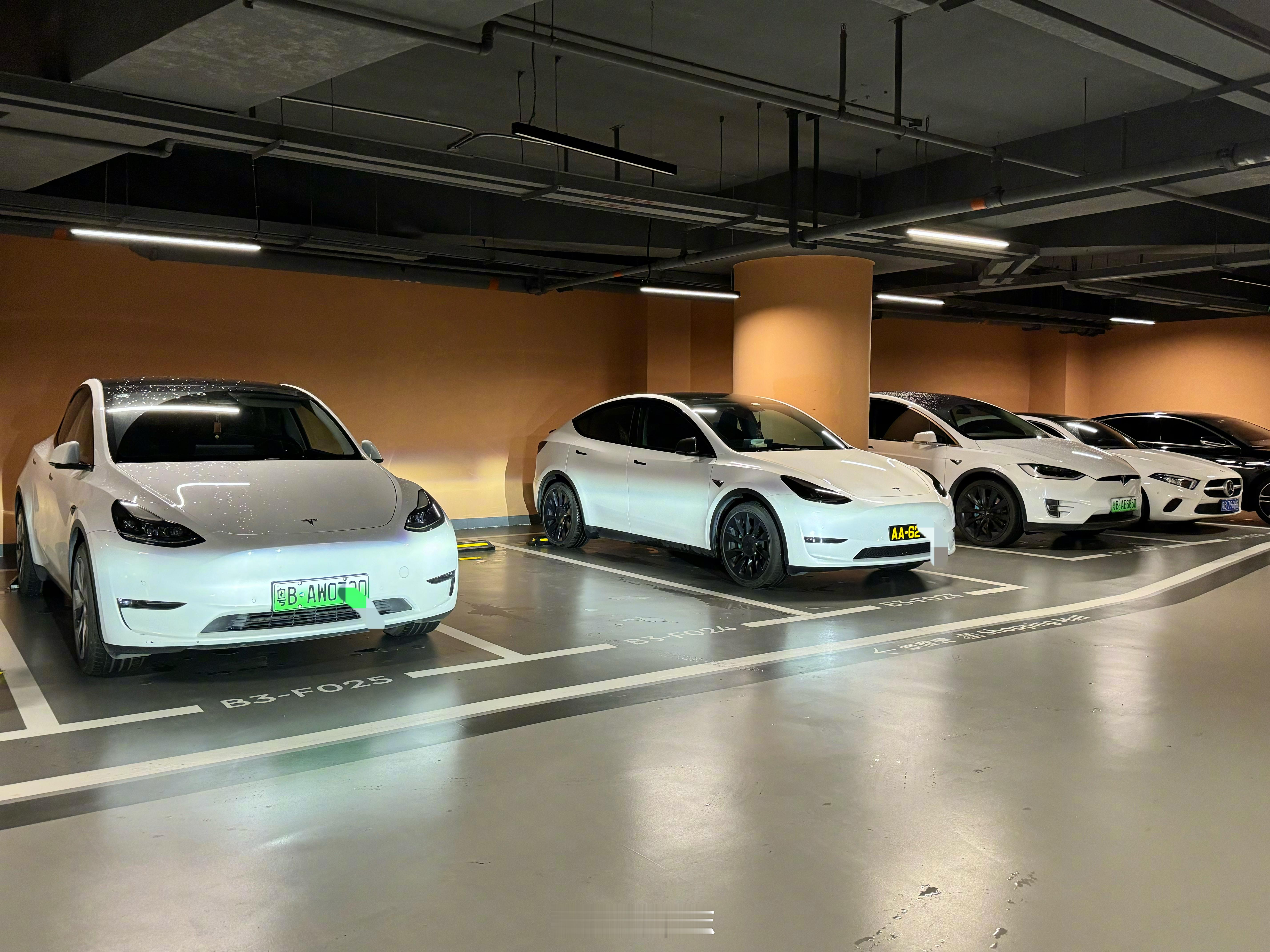 都是白色毛豆Y～论车牌颜值的重要性，有人觉得绿牌好看的吗？[二哈] ​​​