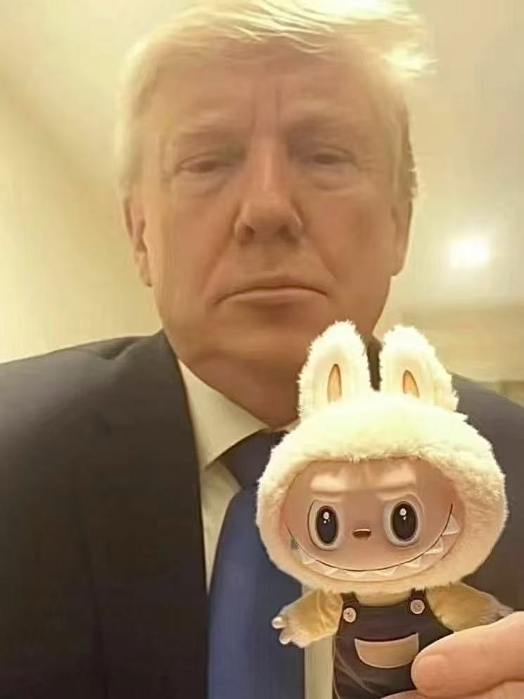 这玩意很火 ​​​