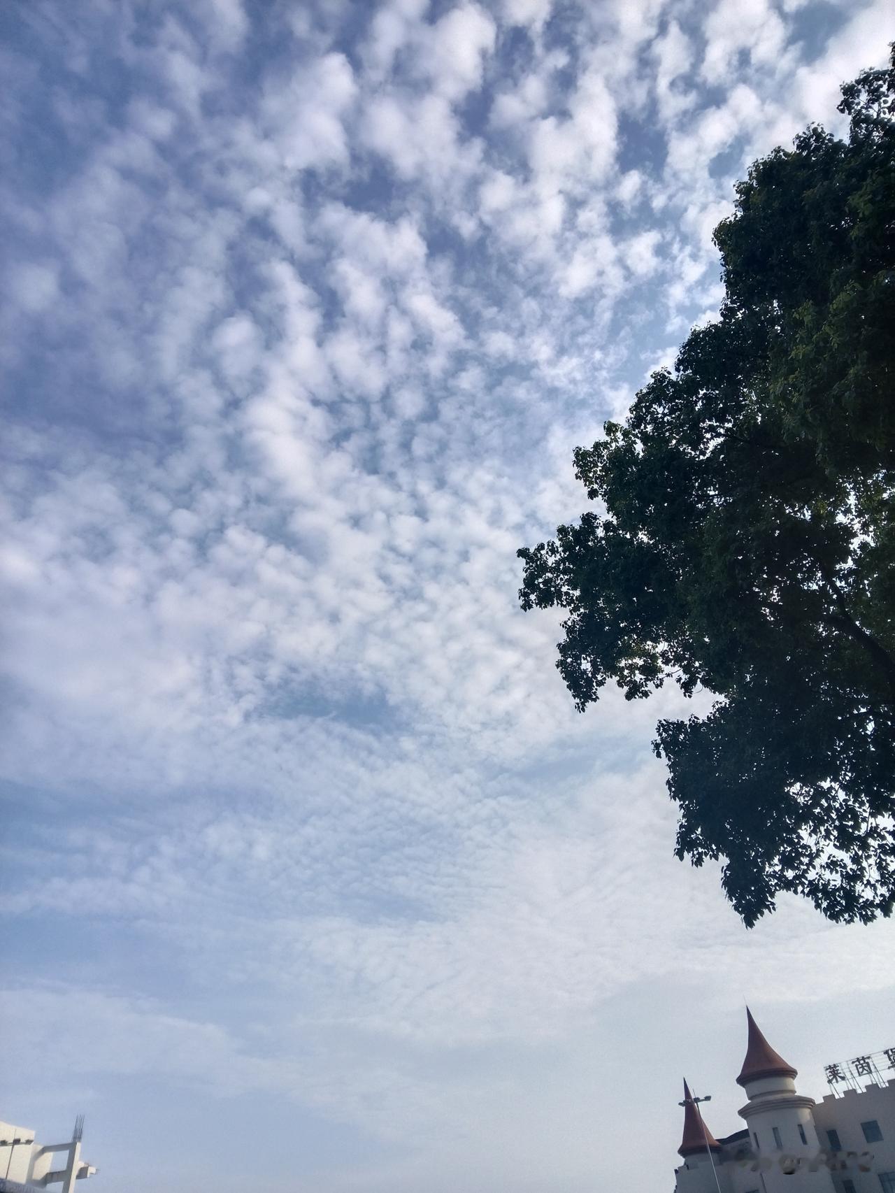 又现抄袭事件！原本今日打算剖析蒋方舟之事，然而一则重磅消息袭来——贾浅浅涉嫌抄袭