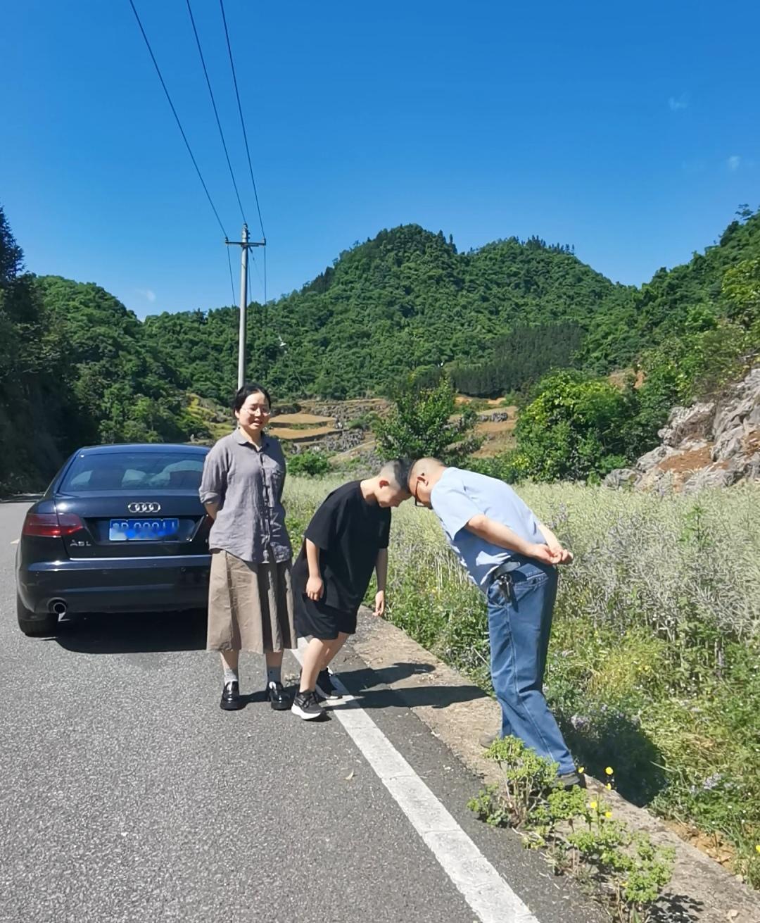 老牛用头抵着小牛的头，互不相让。抵犊，是父子流淌在血液里的爱！