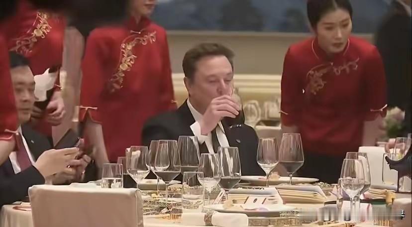 马斯克一点也不拘束啊，又吃又喝的，丝毫不怯场！马斯克AI上天 马斯克产业链 埃罗