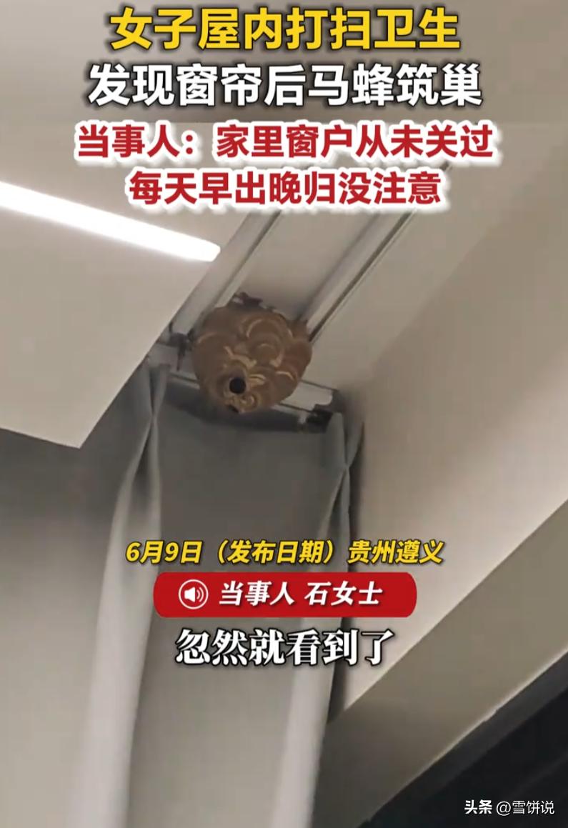 贵州遵义。女子日常工作忙碌，每天早出晚归。为了让室内空气流通，她家窗户长期敞开，