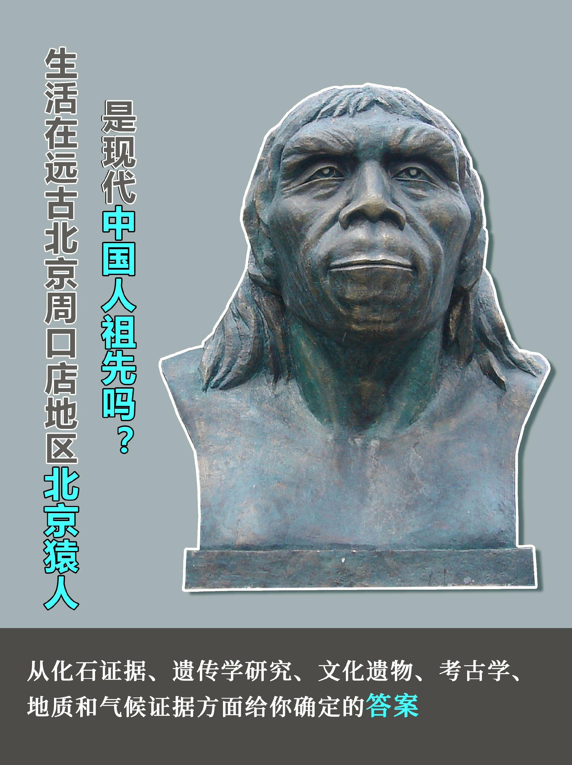 北京猿人不是现代中国人的祖先。🟣北京猿人，也被称为北京人或中国猿人...